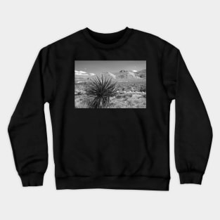 Desert Landscape Crewneck Sweatshirt